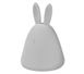 Нічник-світильник LEDVANCE Rabbit 2.5W USB RGBW (4058075602113)