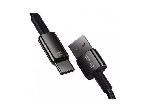 Type-C кабель USB Baseus Tungsten Gold 100W 2m Black (CAWJ000101)